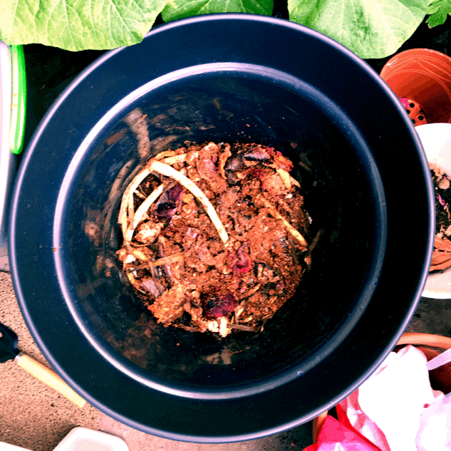 Bringing waste to life