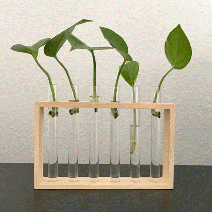 Bringing waste to life